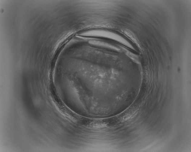 X0000067840491200604131229