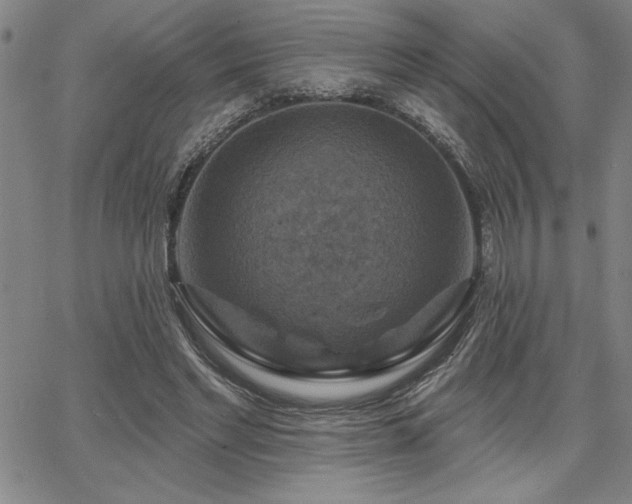 X0000067840493200604131229
