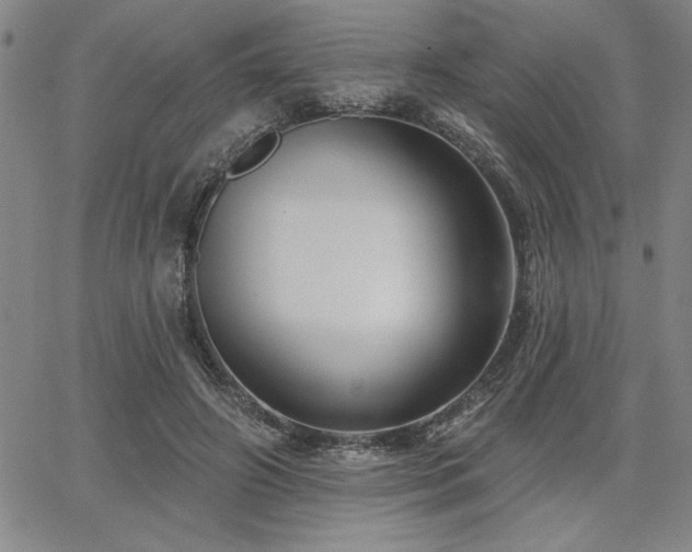 X0000067840498200604131229