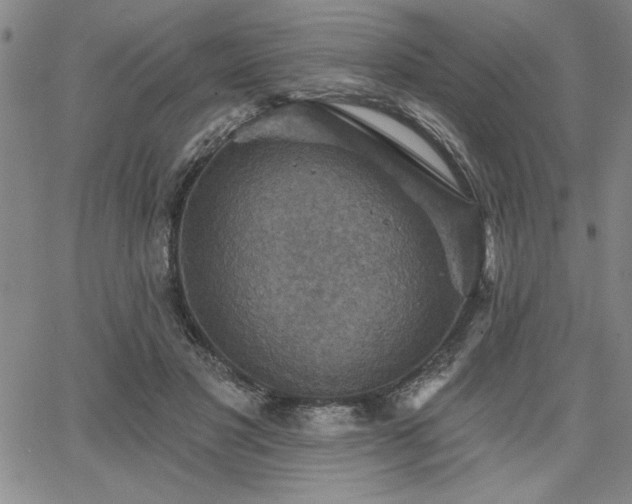 X0000067840501200604131229