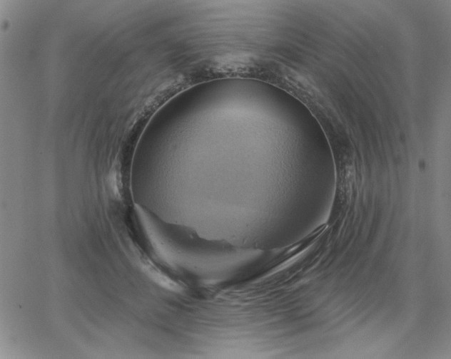 X0000067840508200604131229