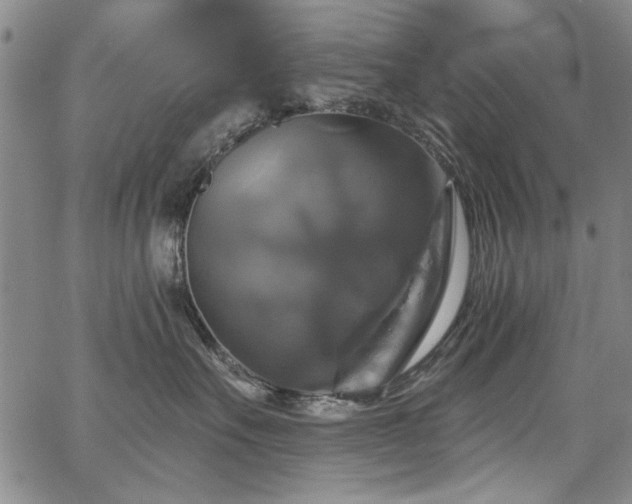 X0000067840527200604131229