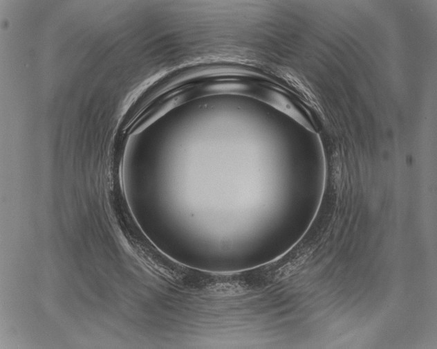 X0000067840536200604131228
