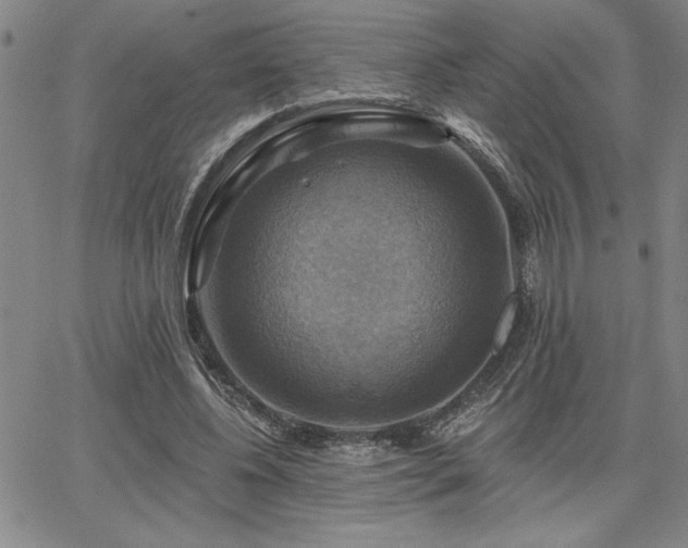 X0000067840540200604131228