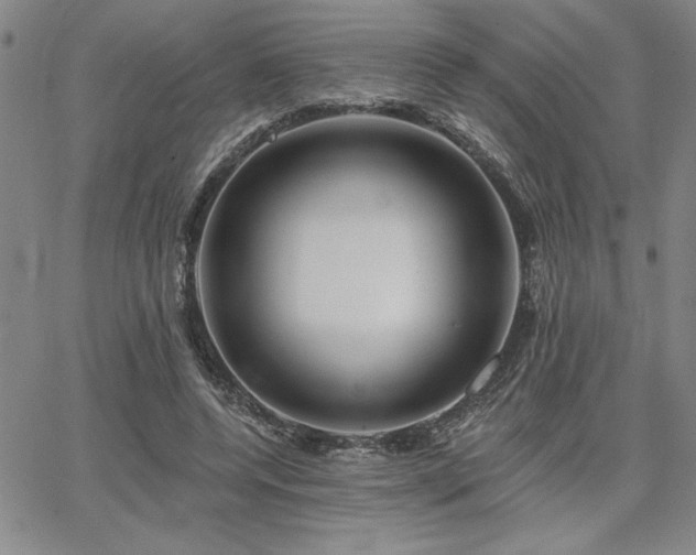 X0000067840544200604131228