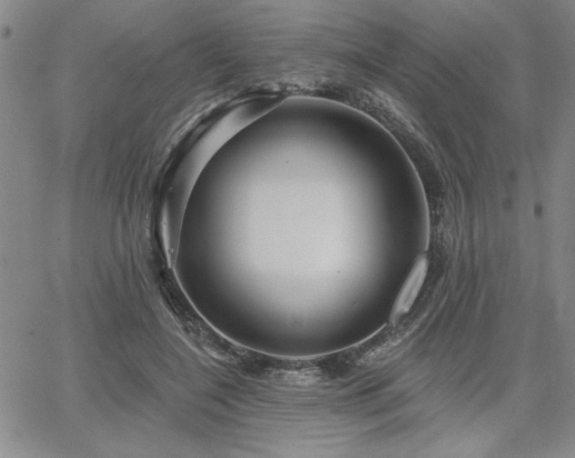 X0000067840548200604131228