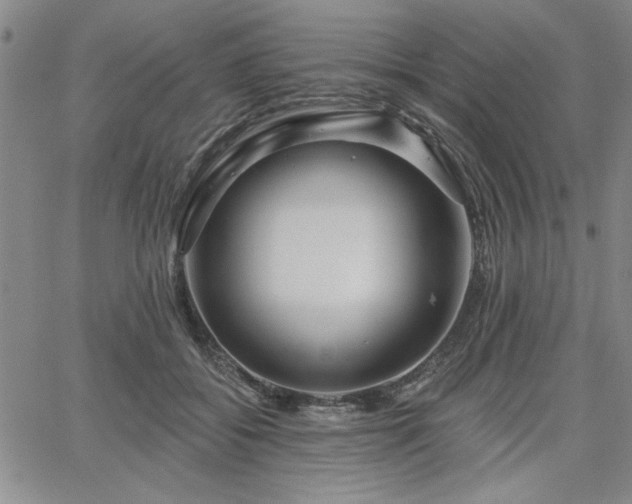 X0000067840556200604131229