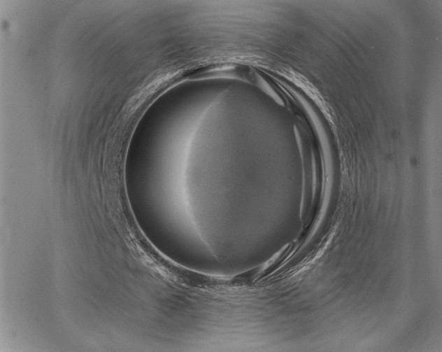 X0000067840577200604131228