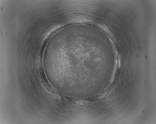 X0000067840579200604131228