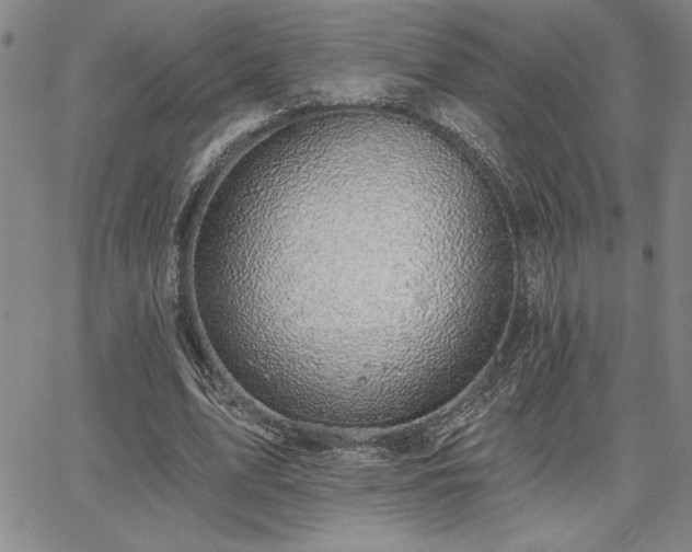 X0000067840583200604131228