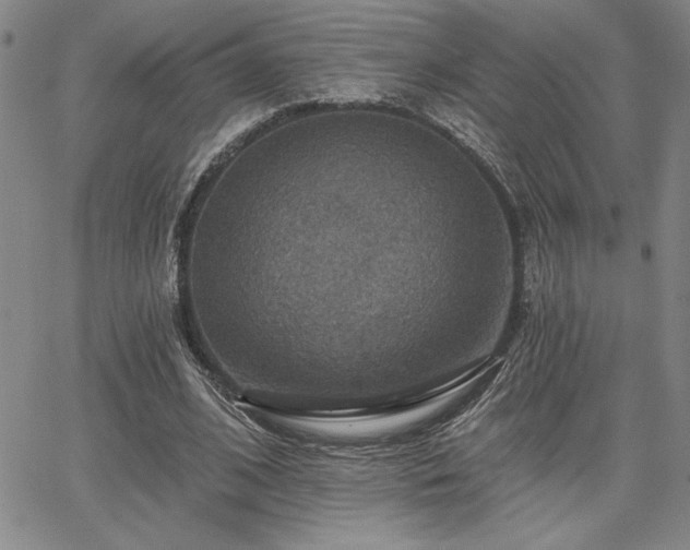 X0000067840584200604131228