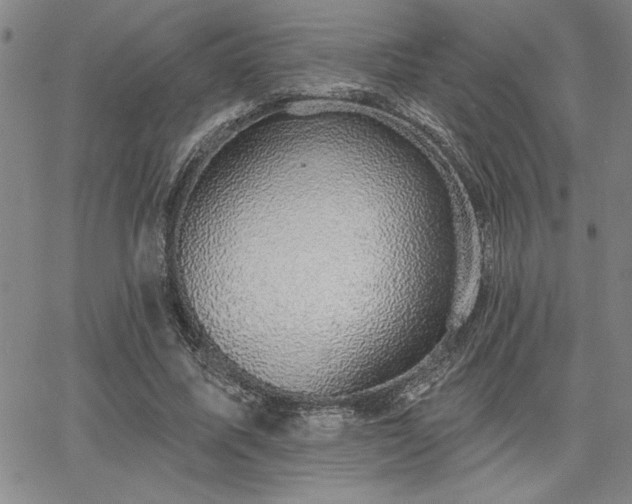 X0000067840587200604131228