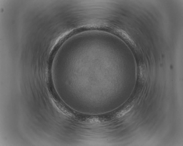 X0000067840588200604131228