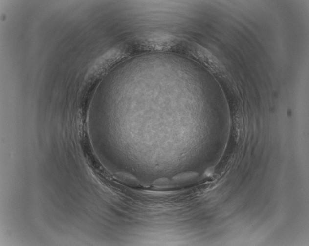 X0000067840594200604131228