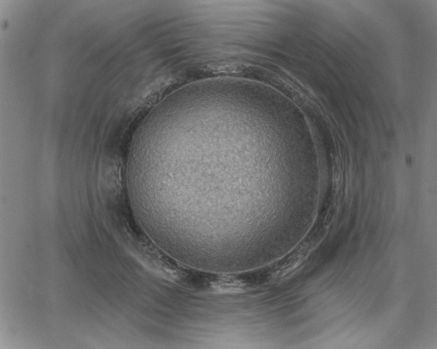 X0000067840603200604131228
