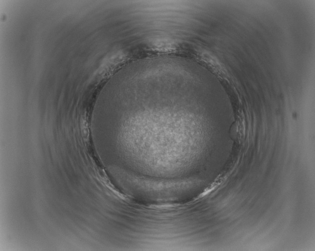 X0000067840609200604131228