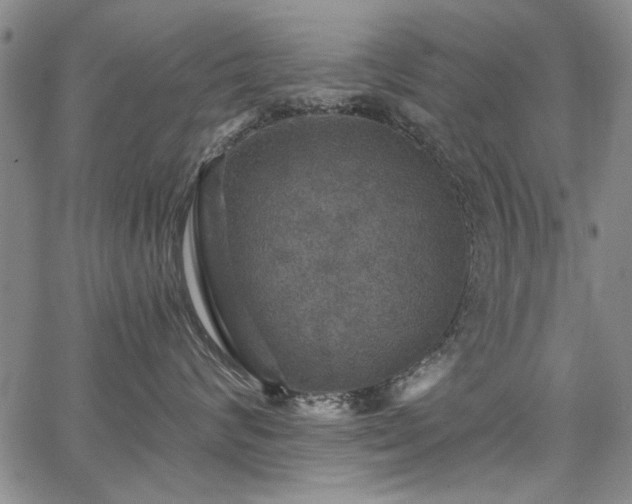 X0000067840624200604131227