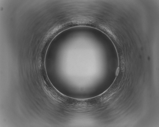 X0000067840631200604131227