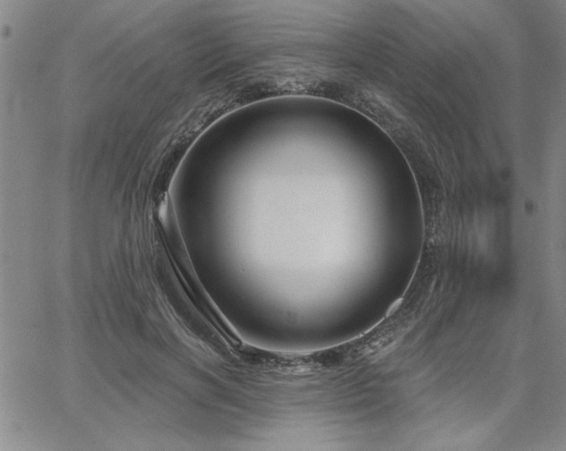 X0000067840646200604131227