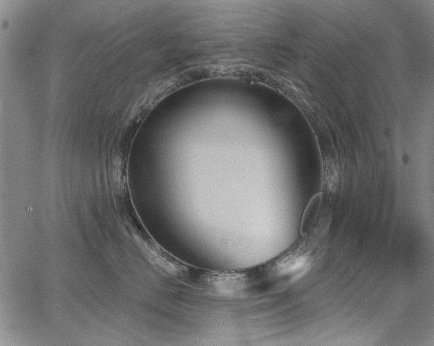 X0000067840670200604131227