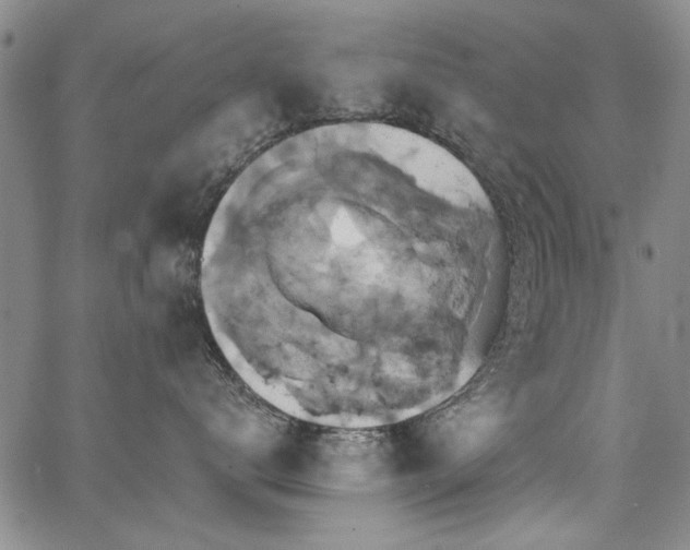 X0000067840672200604131227