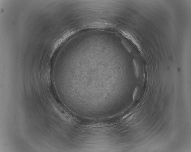 X0000067840675200604131226