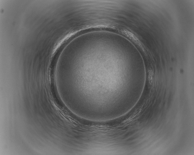 X0000067840676200604131226