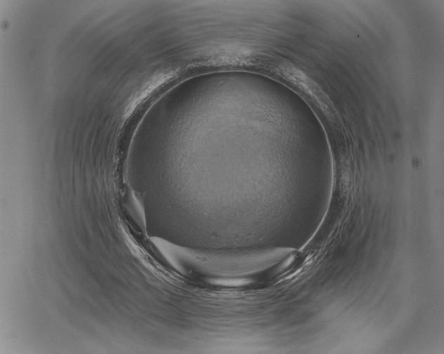 X0000067840677200604131226