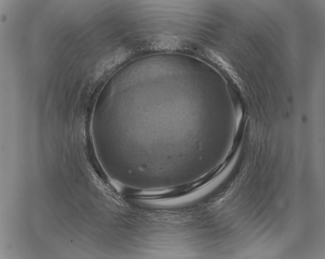 X0000067840681200604131226