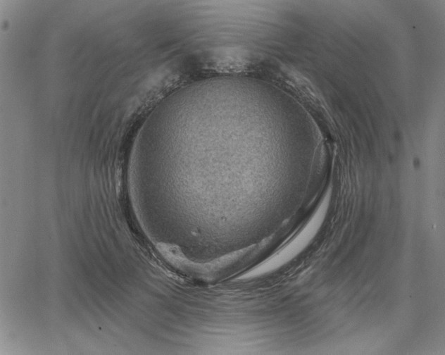 X0000067840697200604131226