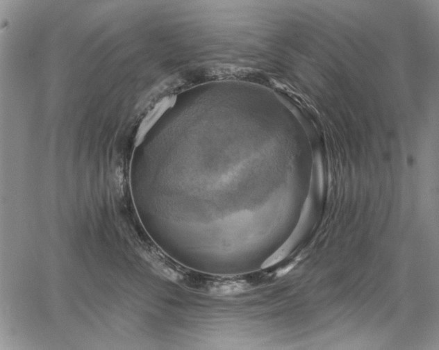 X0000067840716200604131226