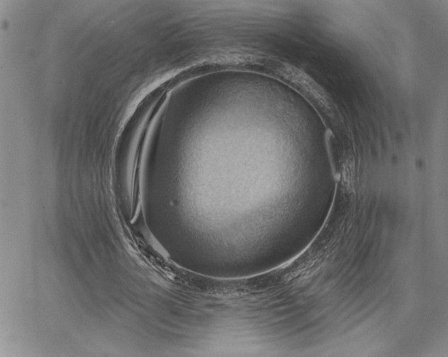 X0000067840724200604131225