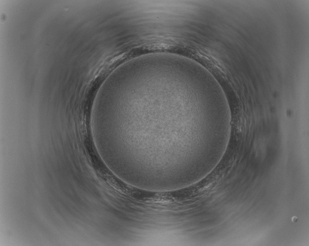 X0000067840743200604131225