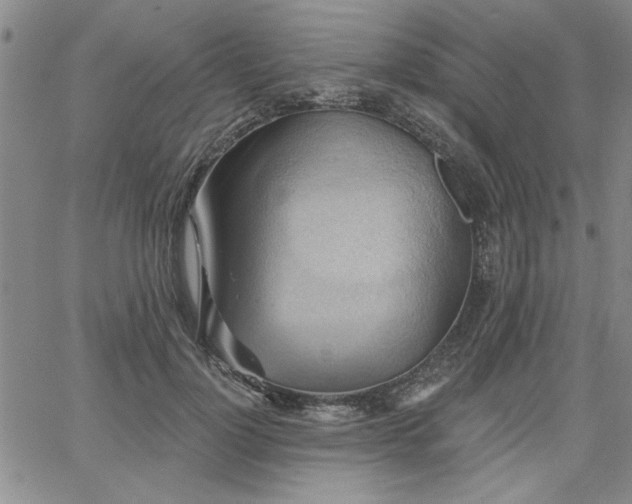 X0000067840748200604131225