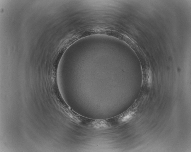 X0000067840762200604131226