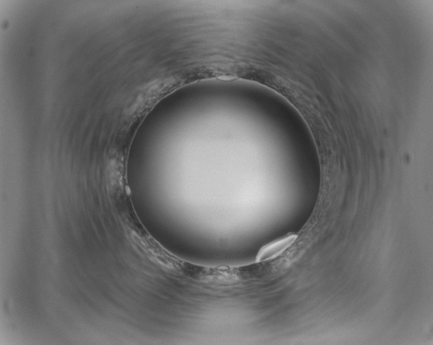 X0000067840768200604131226