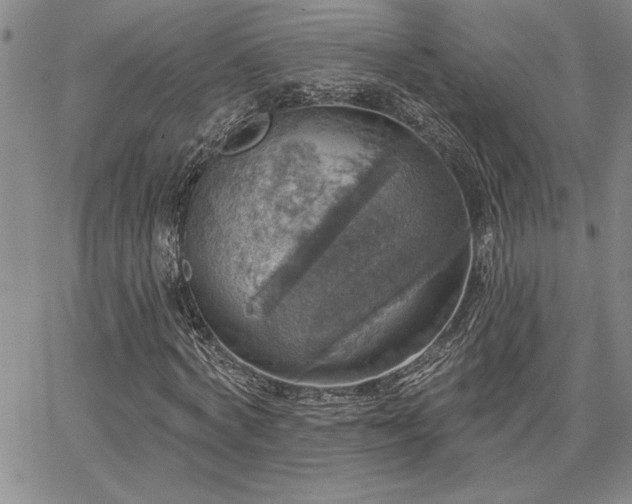 X0000067840772200604131225