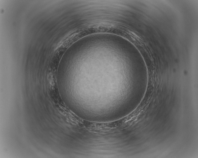 X0000067840774200604131225