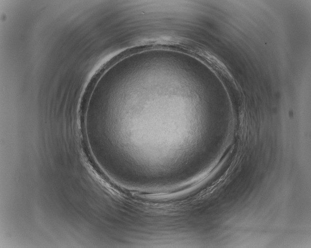X0000067840784200604131225