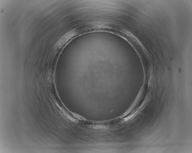 X0000067840785200604131225