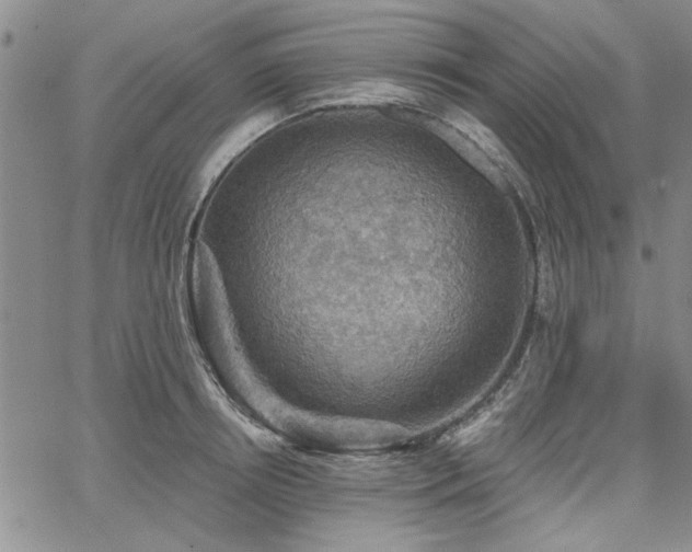 X0000067840850200604131224