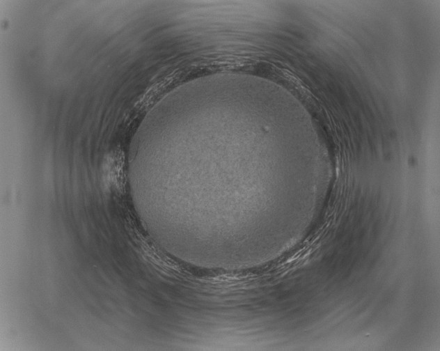X0000067840867200604131223