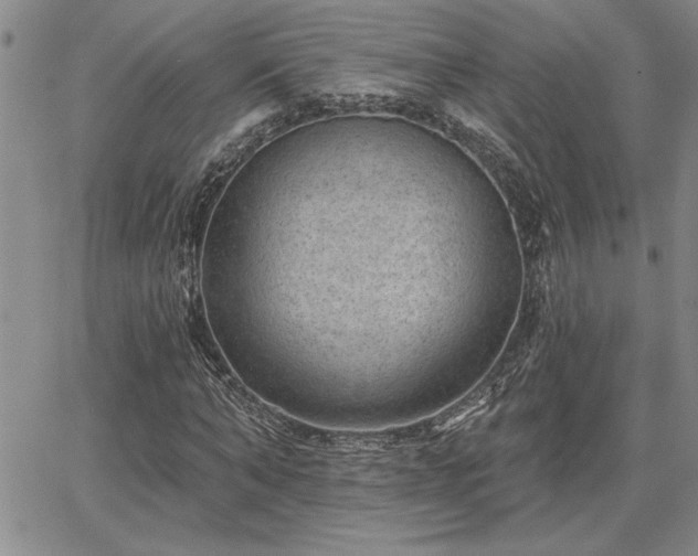X0000067840870200604131223