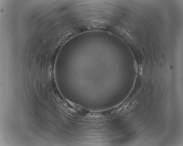 X0000067840915200604131222