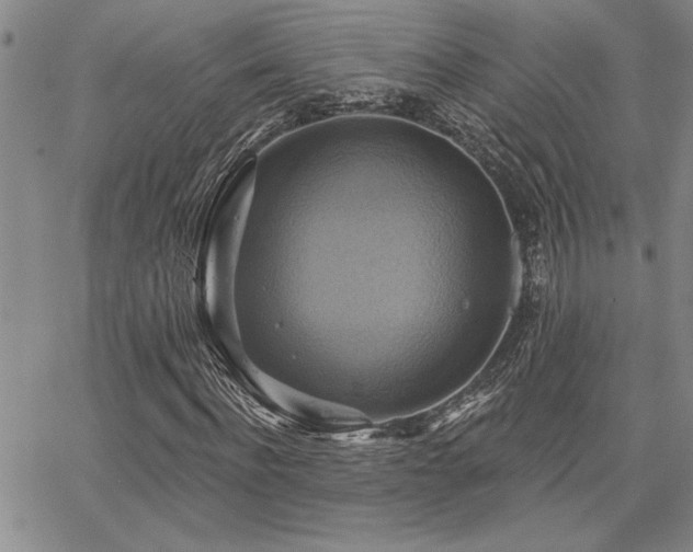 X0000067840916200604131222