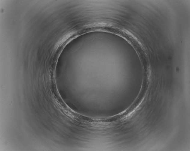 X0000067840921200604131222