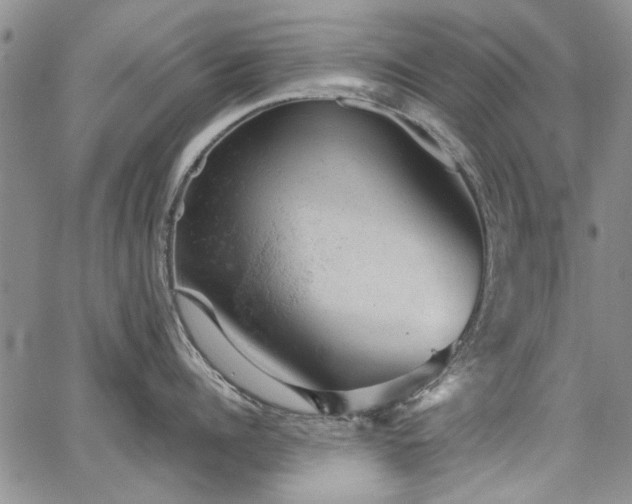 X0000067840960200604131223