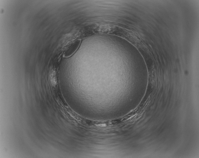 X0000067840962200604131222