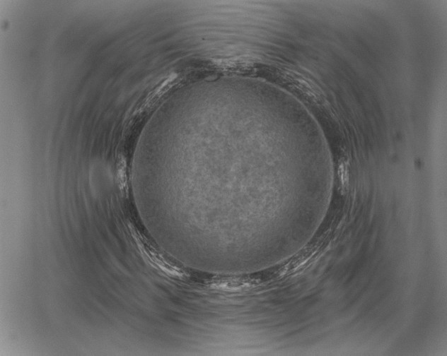X0000067840963200604131222