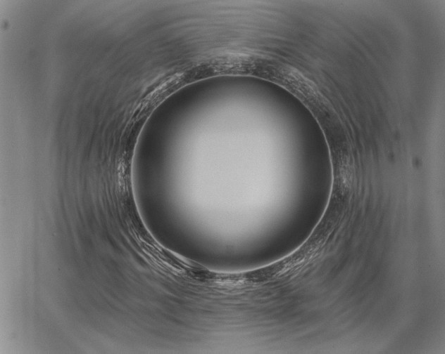X0000067840964200604131222
